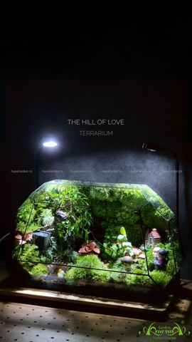 Terrarium 215 - The Hill of Love