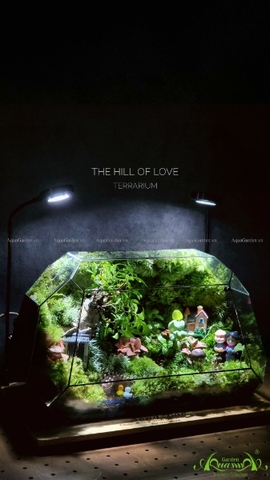 Terrarium 215 - The Hill of Love