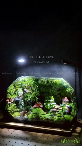 Terrarium 215 - The Hill of Love