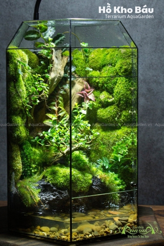 Terrarium 288 - Hồ Kho Báu