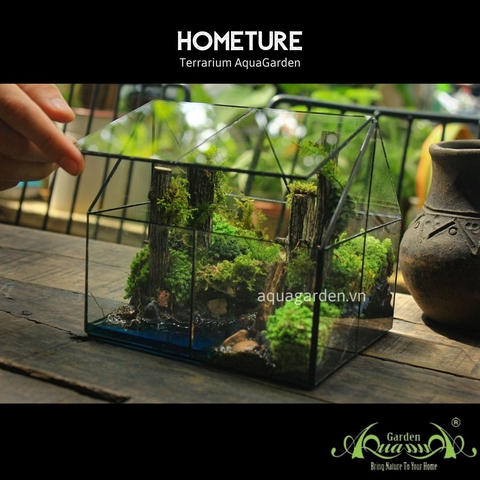 Terrarium 03 - HOMETURE