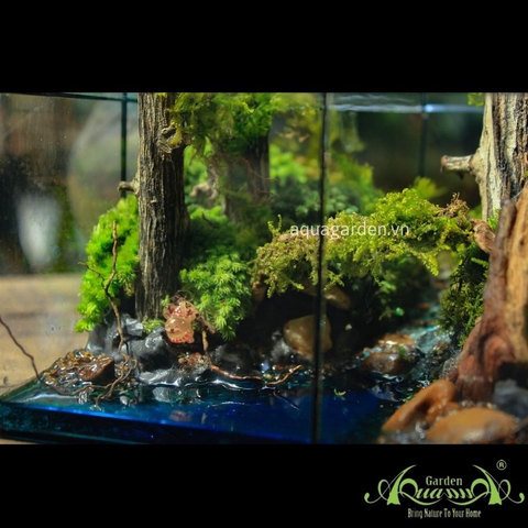 Terrarium 03 - HOMETURE
