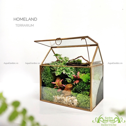 Terrarium 124 - Homeland