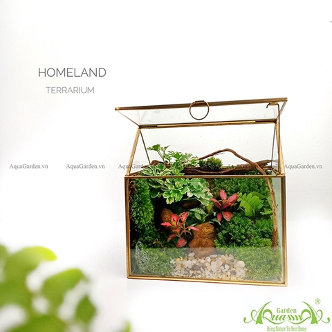 Terrarium 124 - Homeland