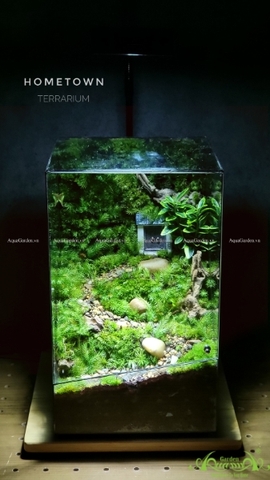 Terrarium 229 - Hometown