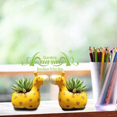 Gốm Thú Composite - Gốm AquaGarden