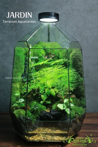 Terrarium 321 - JARDIN