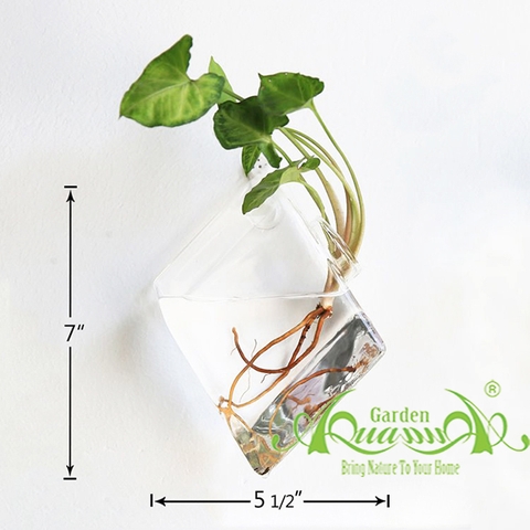 Set Áp Tường 05 - Môn Trắng