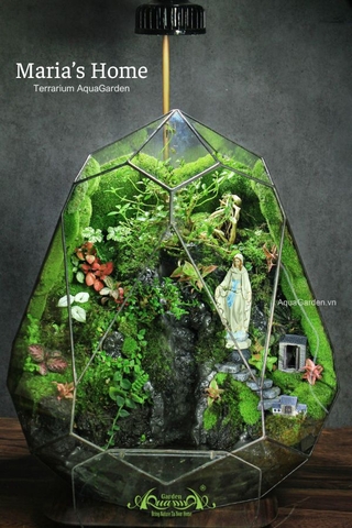 Terrarium 295 - Maria's Home