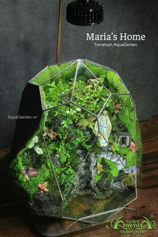 Terrarium 295 - Maria's Home