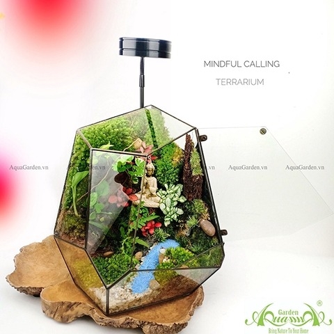 Terrarium 91 - Natural Spirit - Mindful Calling