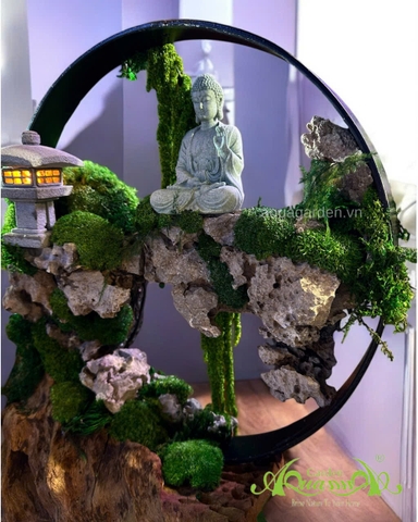 Terrarium 392 - Mộc Thiết Tâm Lai