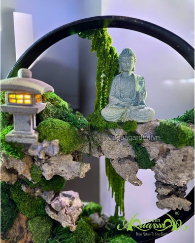 Terrarium 392 - Mộc Thiết Tâm Lai