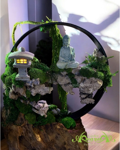 Terrarium 392 - Mộc Thiết Tâm Lai