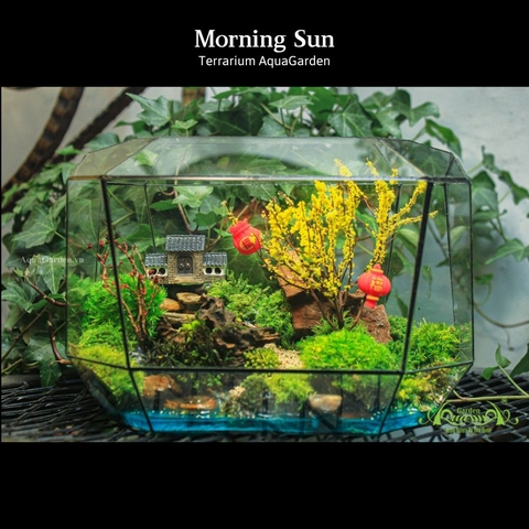 Terrarium 14 - Morning Sun