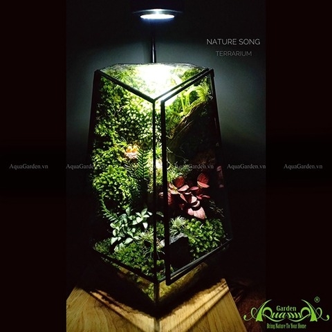 Terrarium 130 - GAIA Forest - Nature Song