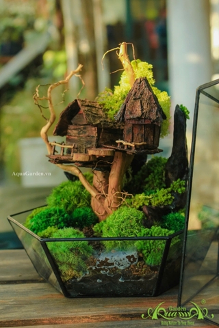 Terrarium 24- Ngôi nhà trên mây