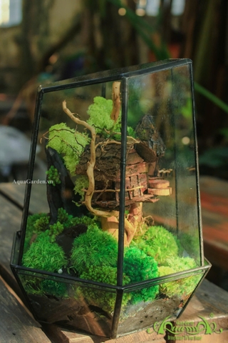 Terrarium 24- Ngôi nhà trên mây