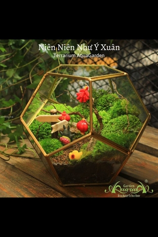 Terrarium 15 - Niên Niên Như Ý Xuân