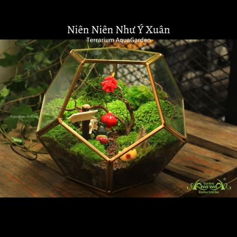 Terrarium 15 - Niên Niên Như Ý Xuân