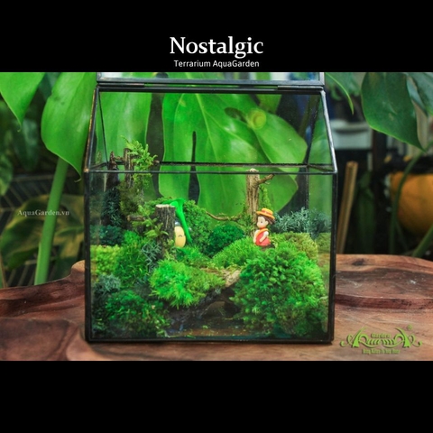 Terrarium 18 - Nostalgic