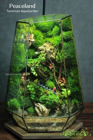 Terrarium 328 - Peaceland