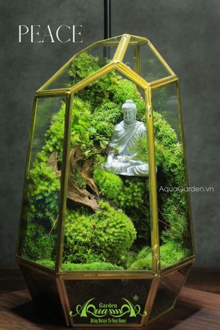 Terrarium 307 - Peace