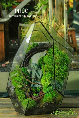 Terrarium 26 - PHÚC