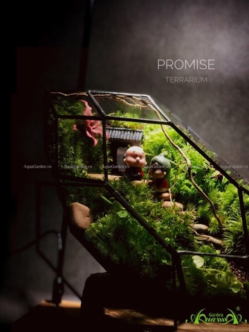 Terrarium 216 - Promise