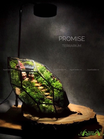 Terrarium 216 - Promise