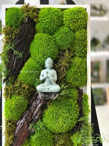 Terrarium 30 - Wide Awake