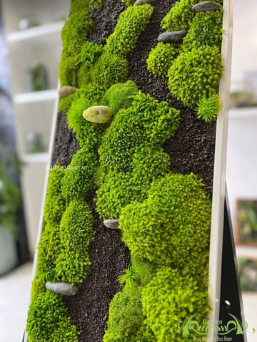 Terrarium 31 - Nature Land