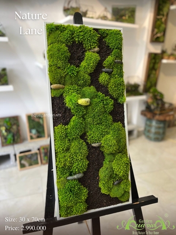 Terrarium 31 - Nature Land