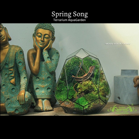 Terrarium 07 - Spring Song