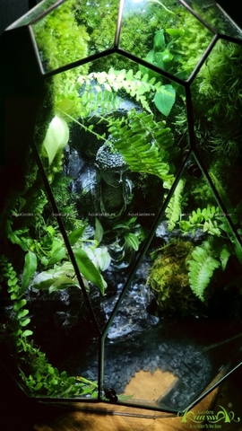 Terrarium 222 - Spiritual Journey