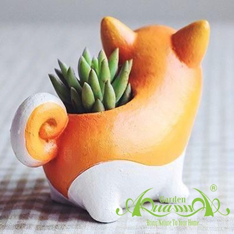 Thú CORGI  - Gốm AquaGarden