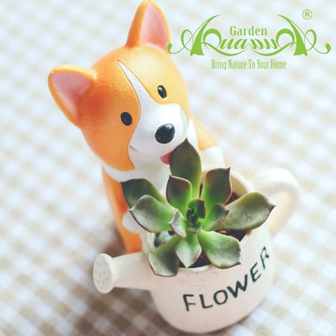 Thú CORGI FLOWER - Gốm AquaGarden