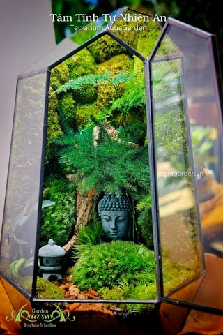 Terrarium 337 -  Tâm Tĩnh Tự Nhiên An