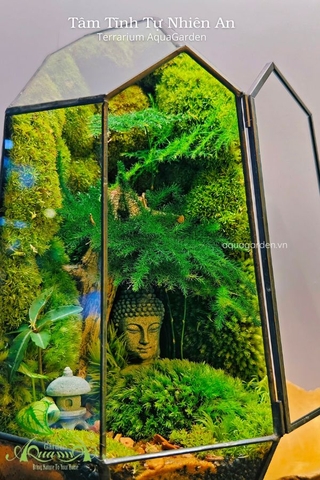 Terrarium 337 -  Tâm Tĩnh Tự Nhiên An