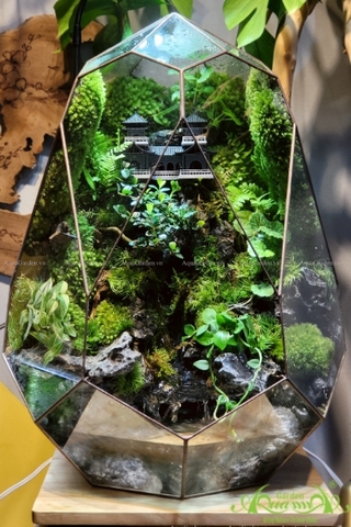 Terrarium 221 - Thiên Đường Biệt Phủ