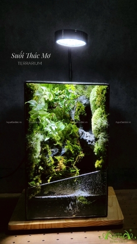 Terrarium 212 - Suối Thác Mơ