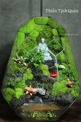 Terrarium 310 - Thiền Tịnh Quán