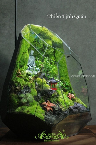 Terrarium 310 - Thiền Tịnh Quán