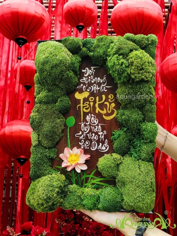 Terrarium 377 - Rừng Xanh Viết Lời Tâm