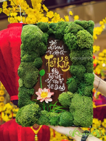 Terrarium 377 - Rừng Xanh Viết Lời Tâm