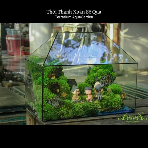 Terrarium 28 - Thời Thanh Xuân Sẽ Qua