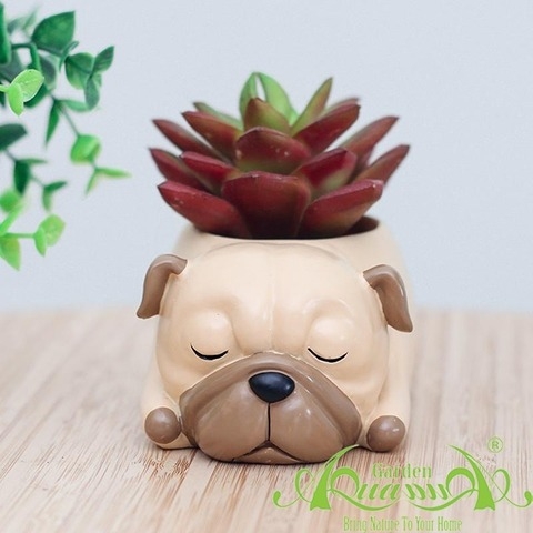 Gốm Thú Composite - Gốm AquaGarden