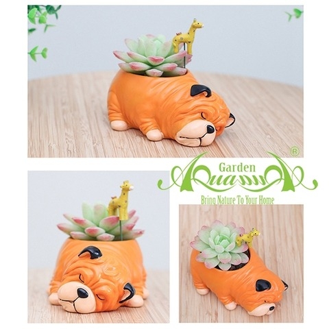 Gốm Thú Composite - Gốm AquaGarden