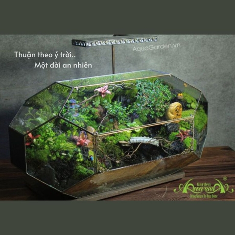 Terrarium 305 - Thuận Theo Ý Trời, Một Đời An Nhiên