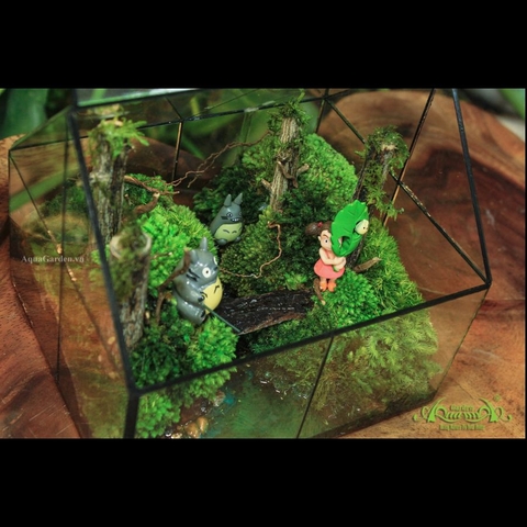 Terrarium 17 - The Totoro's World